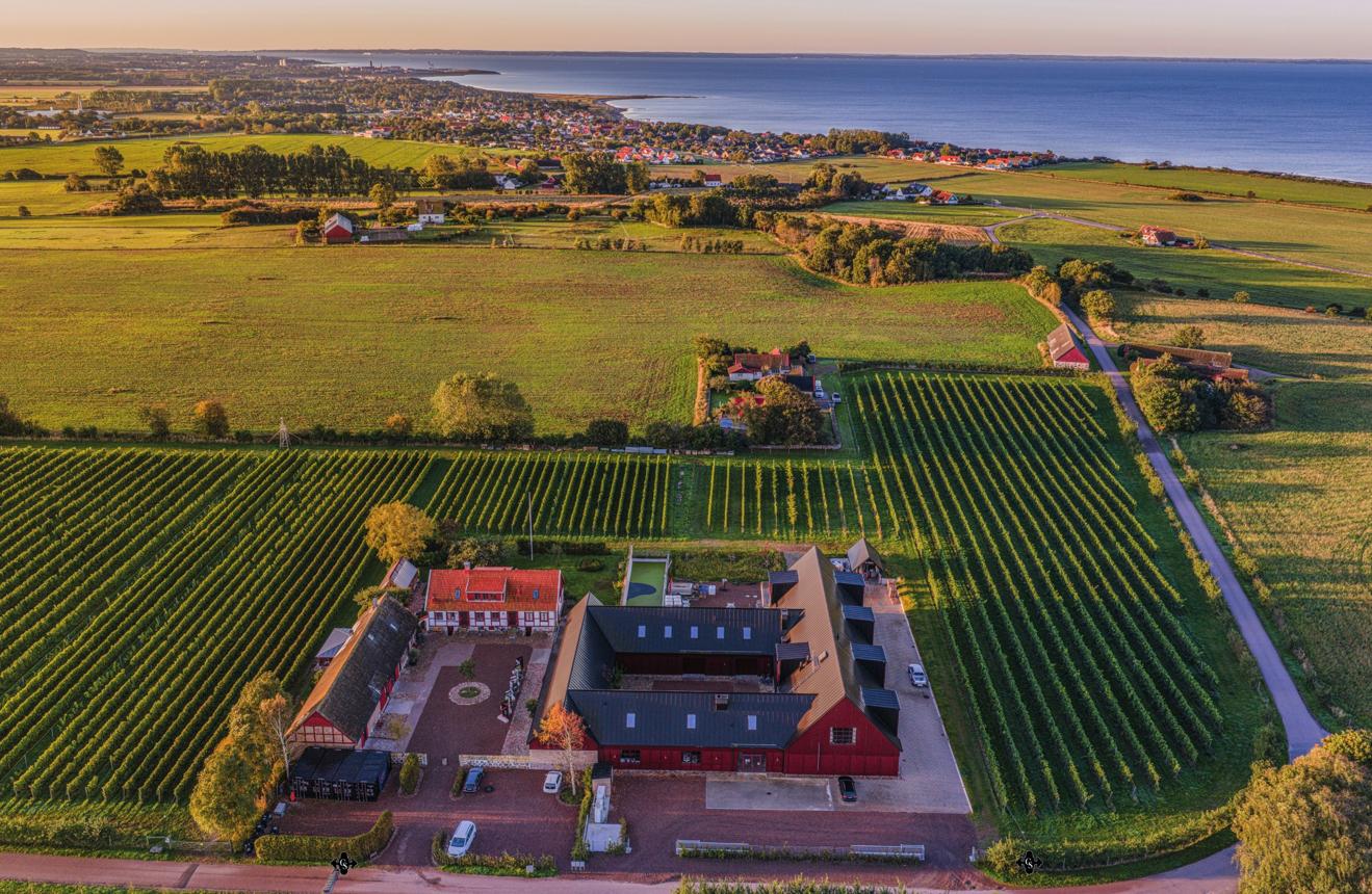 Flygbild över vinrankor och gårdsbyggnader vid Kullabergs Vingård med havet bakom